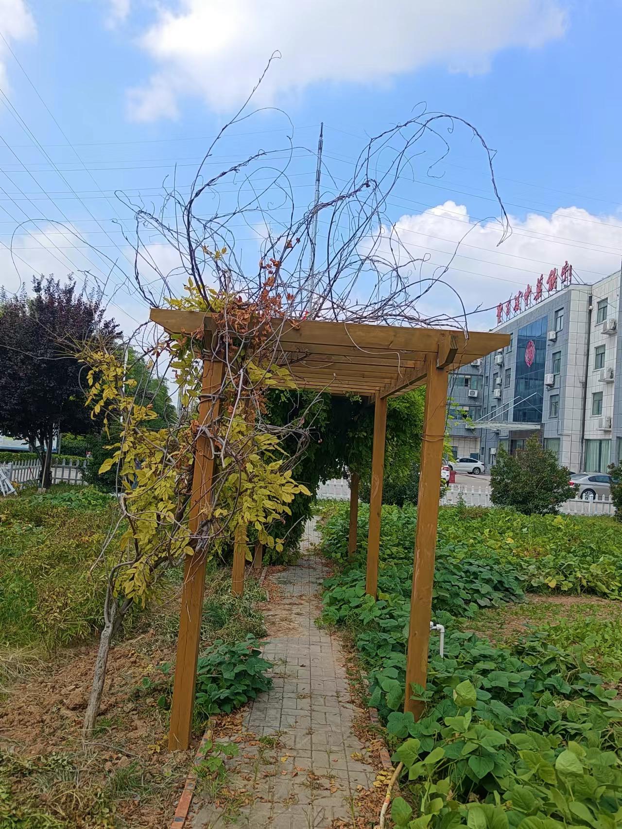 廠(chǎng)容廠(chǎng)貌